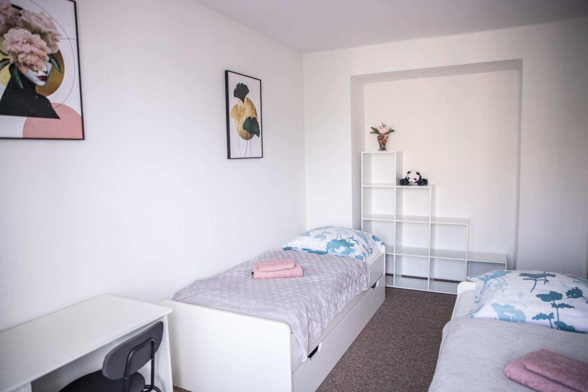 Prostorny Byt V Centru U Reky, 2 Loznice, Balkon Hradec Kralove Exterior photo